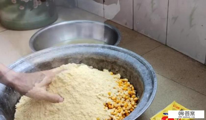 土鳖虫是一种什么昆虫