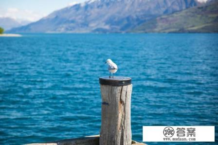 2021年11月份蜜月可以去哪儿旅行