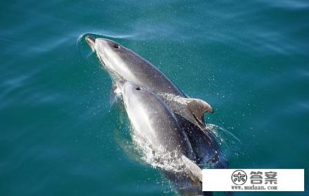 2021年11月份蜜月可以去哪儿旅行