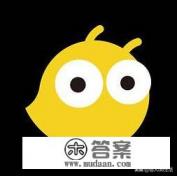 英语四级哪个网课好