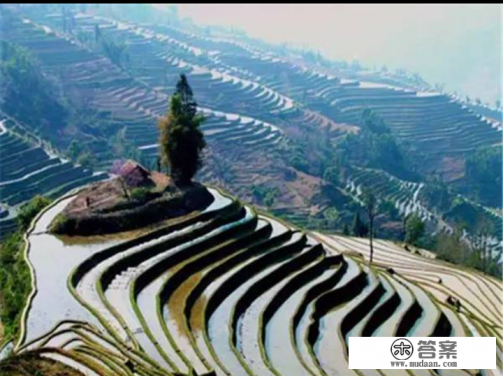 元阳梯田景区游玩顺序怎么安排好 元阳梯田景区游玩顺序怎么安排好