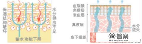 爽肤水到底是干什么用的 爽肤水到底是干什么用的