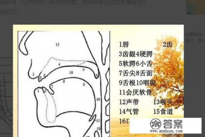 如何改变说话声音 如何改变说话声音