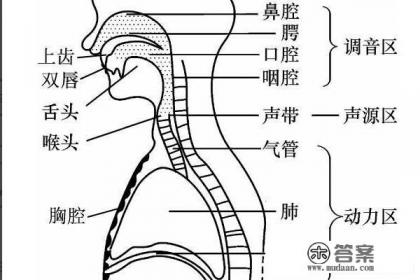 如何改变说话声音