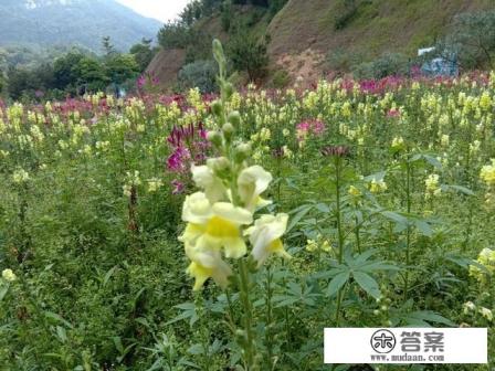 从化旅游攻略 从化旅游攻略