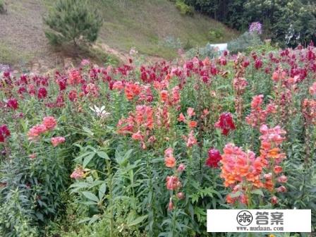 从化旅游攻略