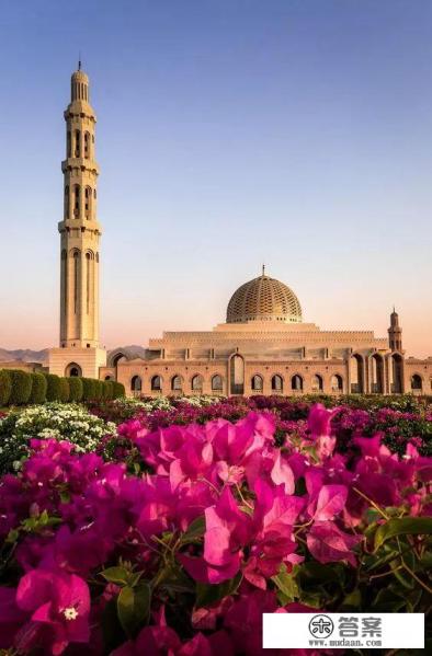 2019美国国家地理最受欢迎的旅游目的地国家 2019美国国家地理最受欢迎的旅游目的地国家