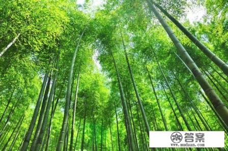 安吉旅游攻略景点排名