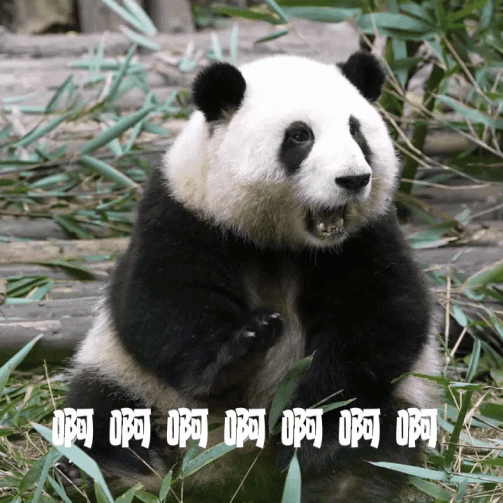 熊猫花花生病了是怎么回事