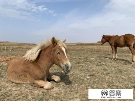 为什么我老问他过去的事情,他不想说出来,我每天问他说完事,我又问他还有没有的事,我问他就感觉烦 为什么我老问他过去的事情,他不想说出来,我每天问他说完事,我又问他还有没有的事,我问他就感觉烦