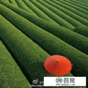 生活的特没意思怎么办 生活的特没意思怎么办