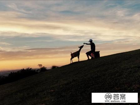 旅游的感受怎么写 旅游的感受怎么写