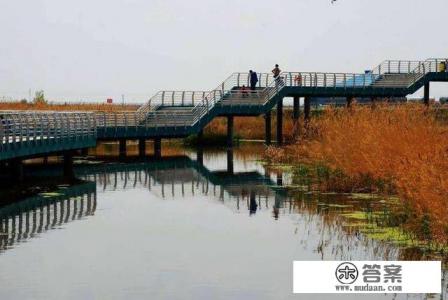 离大庆比较近的旅游城市有哪些 离大庆比较近的旅游城市有哪些