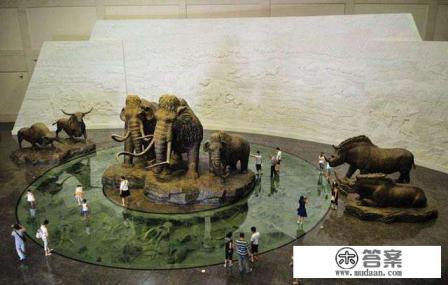 离大庆比较近的旅游城市有哪些 离大庆比较近的旅游城市有哪些