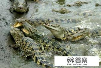 在广州南站周边有什么景点 在广州南站周边有什么景点