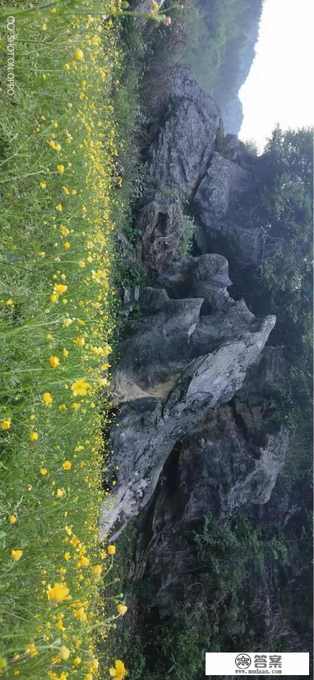 四川凉山悬崖村那么危险为什么要住人呢?为什么不搬出来呢 四川凉山悬崖村那么危险为什么要住人呢?为什么不搬出来呢