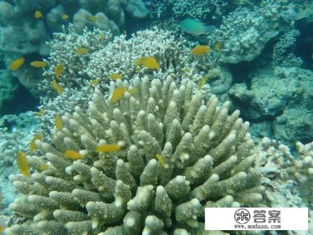 冬季去泰国旅游好吗 冬季去泰国旅游好吗