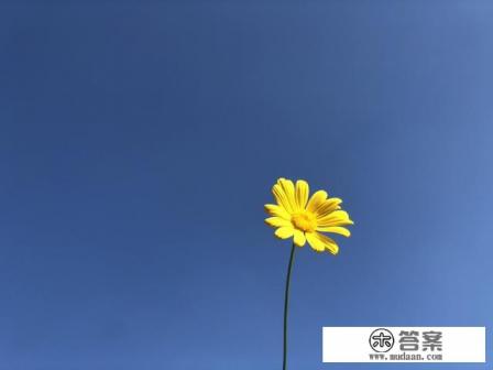 春节适合去云南哪里旅游 春节适合去云南哪里旅游