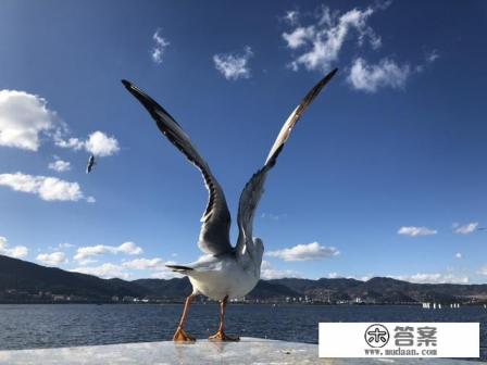 春节适合去云南哪里旅游 春节适合去云南哪里旅游