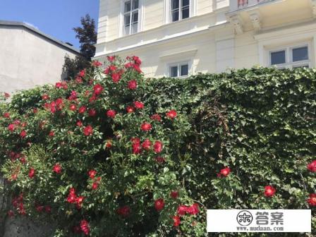 去欧洲旅游几月好 去欧洲旅游几月好
