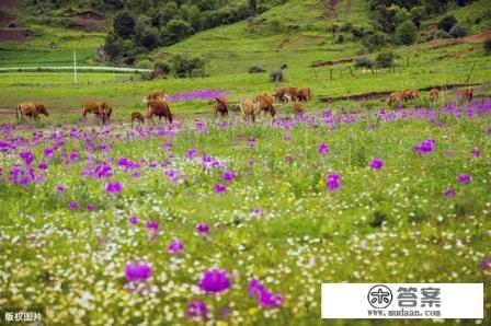 南宁到香格里拉旅游路线 南宁到香格里拉旅游路线