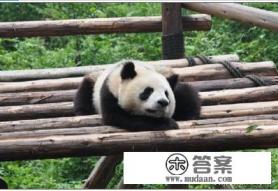 12月份成都旅游十大必去景点 12月份成都旅游十大必去景点
