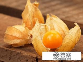灯笼果种植技术和管理方法