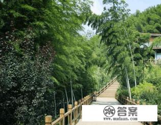 常州旅游攻略一日游 常州旅游攻略一日游