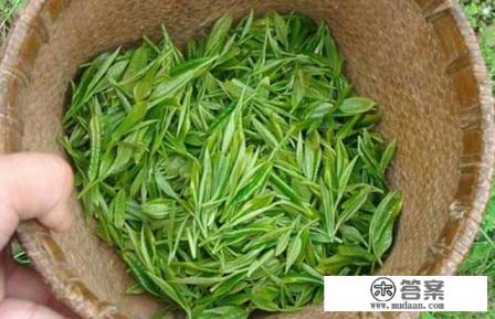 关于河南传统文化的旅游产品 关于河南传统文化的旅游产品