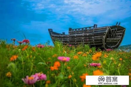 为什么不要去嵊泗岛 为什么不要去嵊泗岛