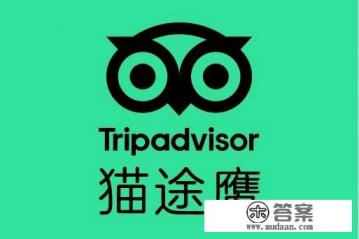 带有猫头鹰的标志是什么app 带有猫头鹰的标志是什么app