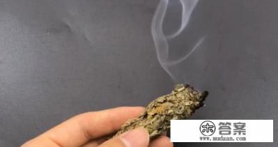 防蚊最简单最有效的方法,蚊虫叮咬减少法