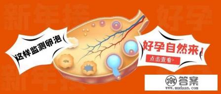 卵泡监测方法 卵泡监测方法