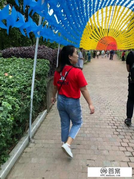 深圳必玩景点排名 深圳必玩景点排名