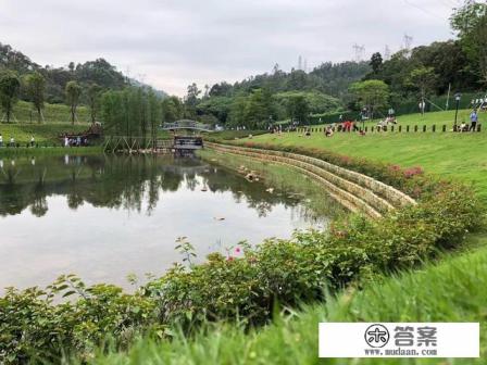 深圳必玩景点排名 深圳必玩景点排名