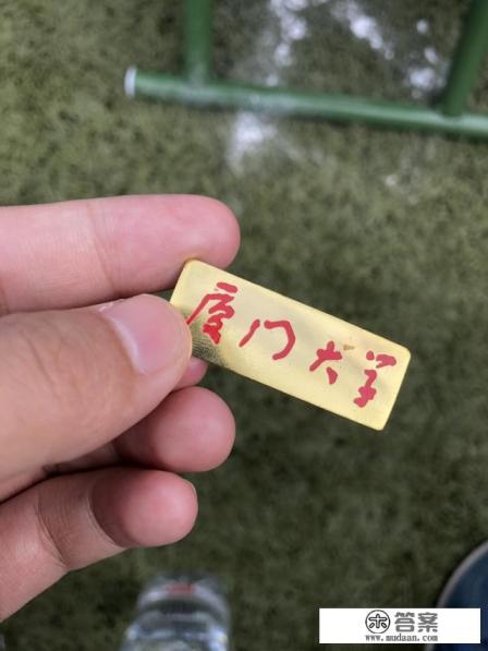 重点大学考试比普通大学难吗 重点大学考试比普通大学难吗