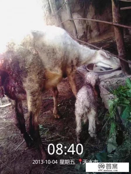 小时候吃过别人的奶,长大后有没有那个人的基因或者DNA之类的 小时候吃过别人的奶,长大后有没有那个人的基因或者DNA之类的