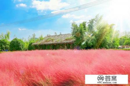 搞旅游创业怎么样