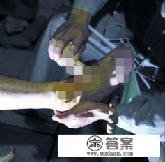 菊花酒制作方法及用法是怎样的 菊花酒制作方法及用法是怎样的