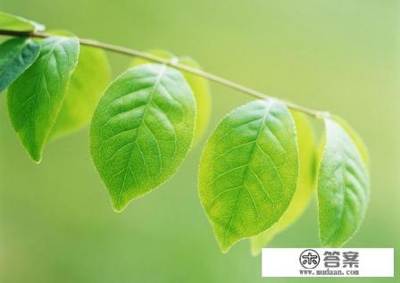 想以后从商,大学学什么专业比较好 想以后从商,大学学什么专业比较好