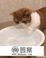 为什么脸上下巴两侧长痘痘是什么原因？这是怎么了