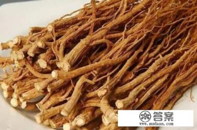 柴胡能治什么病