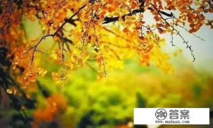 秋天去哪旅游最好 秋天去哪旅游最好
