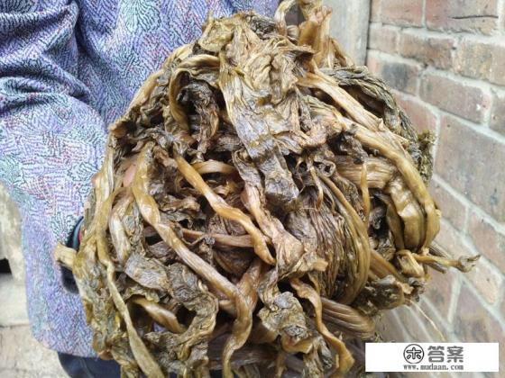 各种芽菜保质期多长 各种芽菜保质期多长