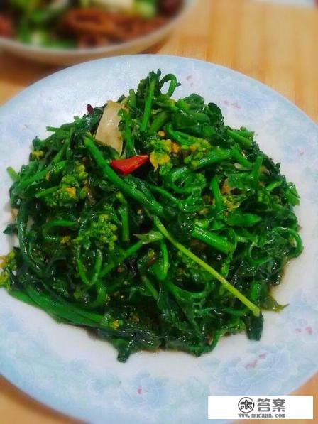 佛甲草优缺点