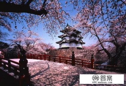 什么是网络旅游 什么是网络旅游