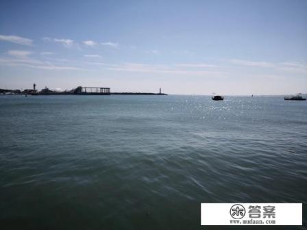 旅游动机的基本类型有哪些？