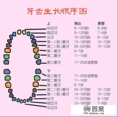 什么叫牙、什么叫齿。它们又有什么区别！谢谢了，大神帮忙啊