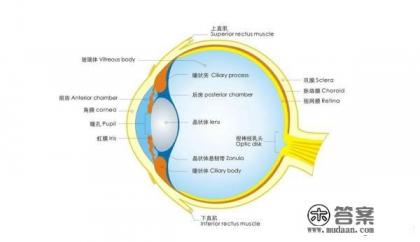 眼睛痒是怎么回事,眼睛痒是什么原因引起 眼睛痒是怎么回事,眼睛痒是什么原因引起